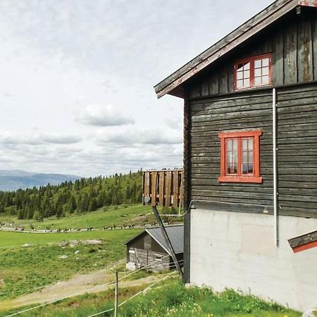 Appartamento Sulseter Fjellstugu Vinstra Esterno foto