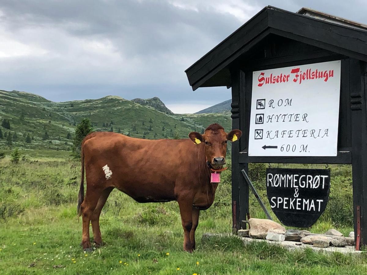 Appartamento Sulseter Fjellstugu Vinstra Esterno foto