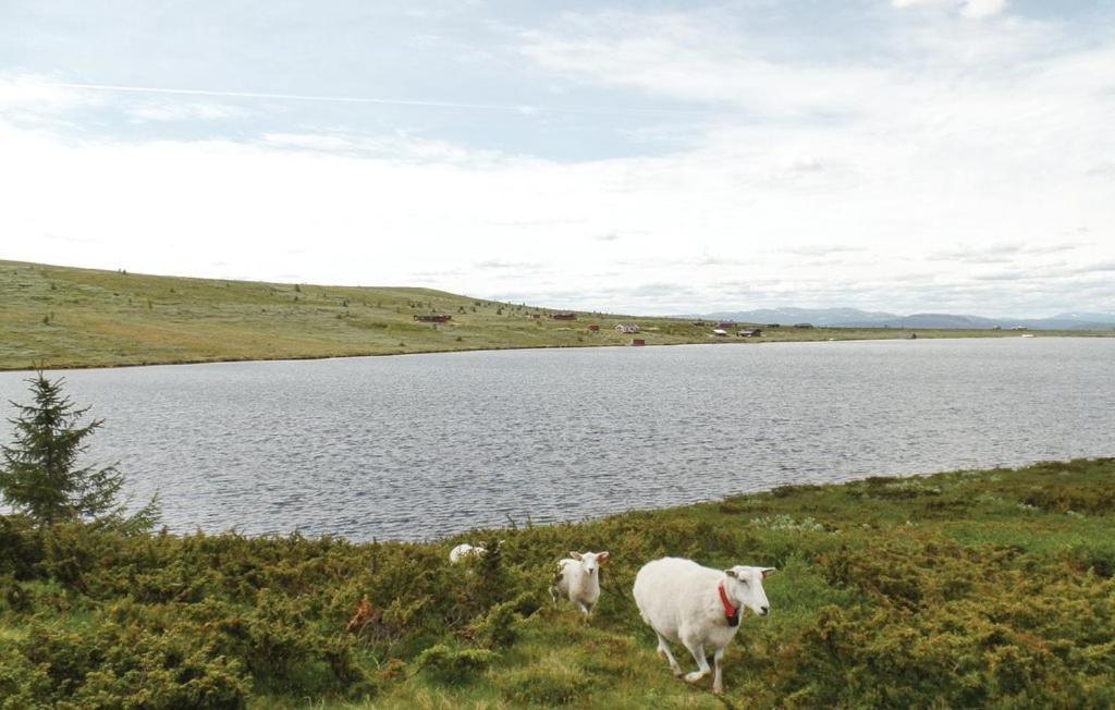 Appartamento Sulseter Fjellstugu Vinstra Esterno foto