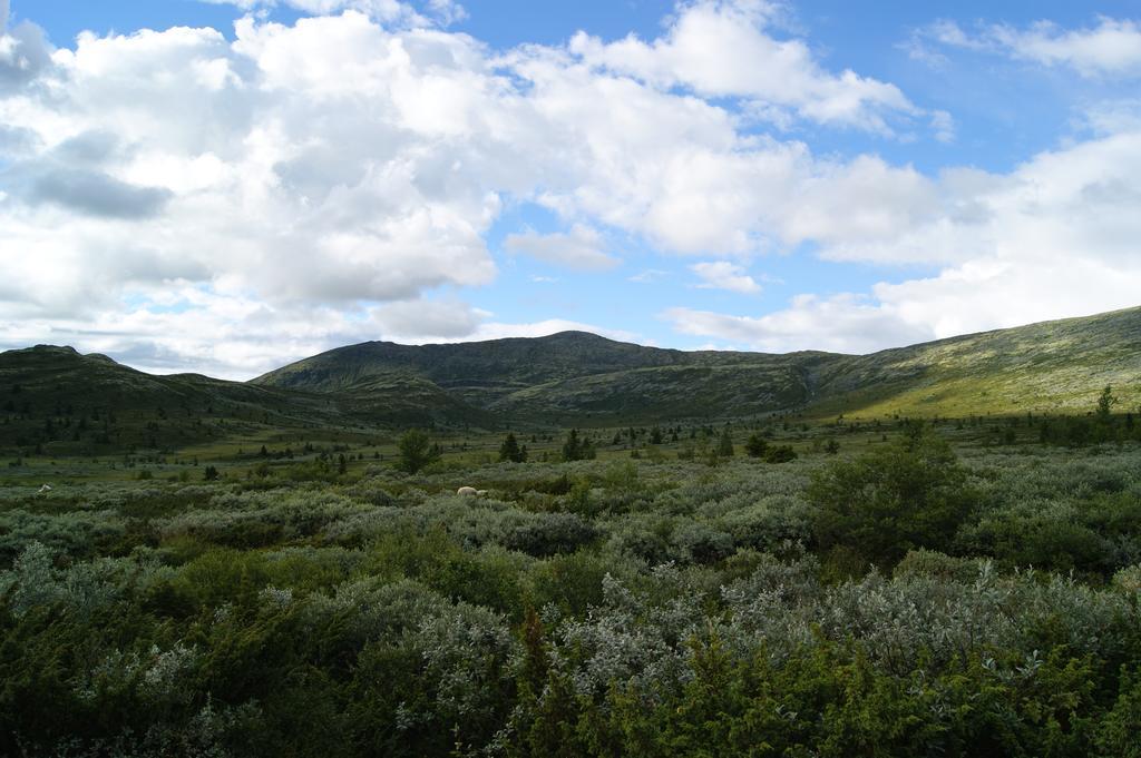 Appartamento Sulseter Fjellstugu Vinstra Esterno foto