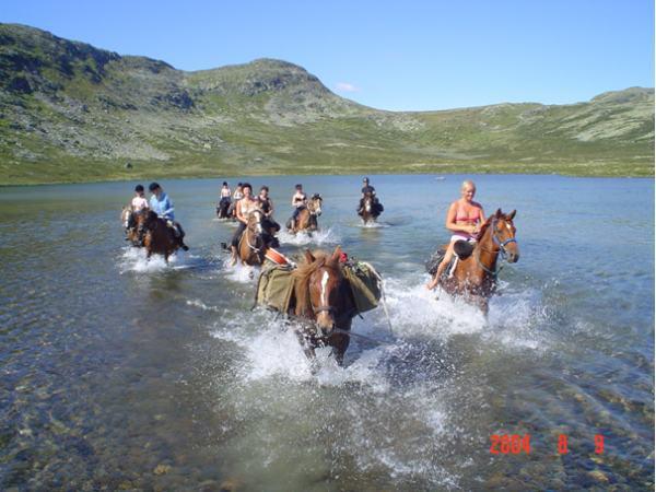 Appartamento Sulseter Fjellstugu Vinstra Esterno foto