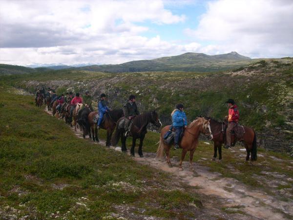Appartamento Sulseter Fjellstugu Vinstra Esterno foto