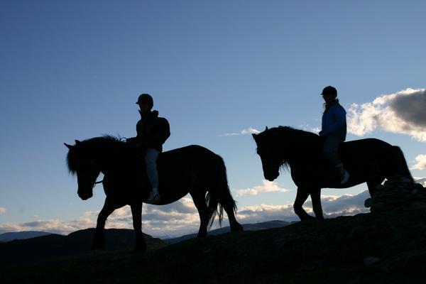 Appartamento Sulseter Fjellstugu Vinstra Esterno foto