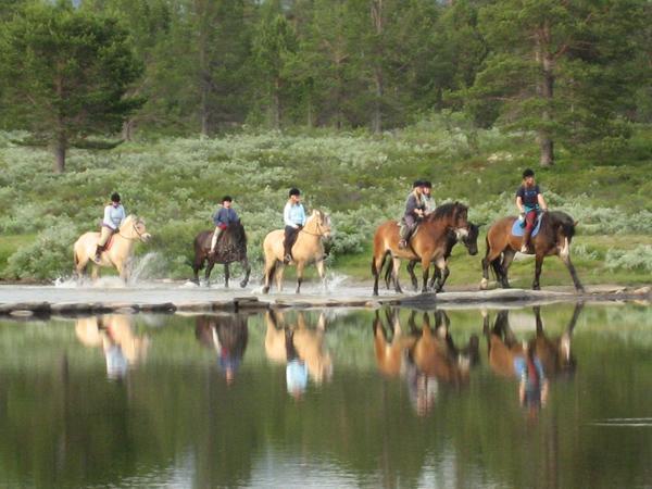 Appartamento Sulseter Fjellstugu Vinstra Esterno foto