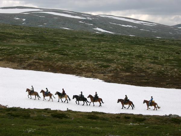 Appartamento Sulseter Fjellstugu Vinstra Esterno foto